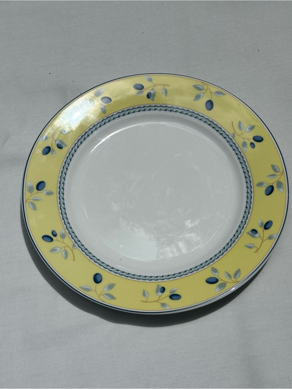 Royal Doulton Blueberry Saucer Plate w/Blue Berries & Blue Rope Border